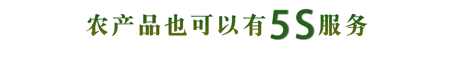 四季见山-让田间的匠人被更多人认可