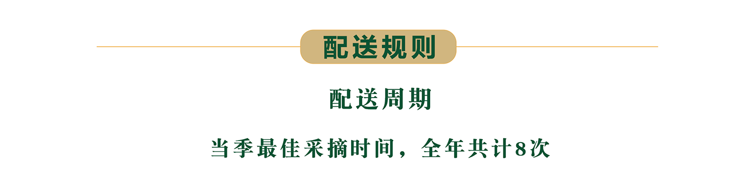 四季见山-让田间的匠人被更多人认可